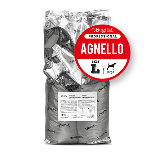 Adult AGNELLO Large
Professional