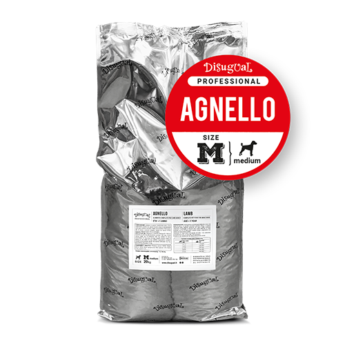 Adult AGNELLO Medium
Professional